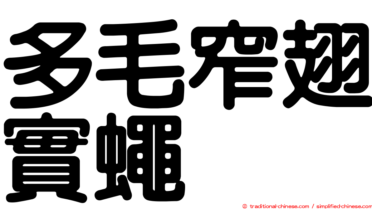 多毛窄翅實蠅