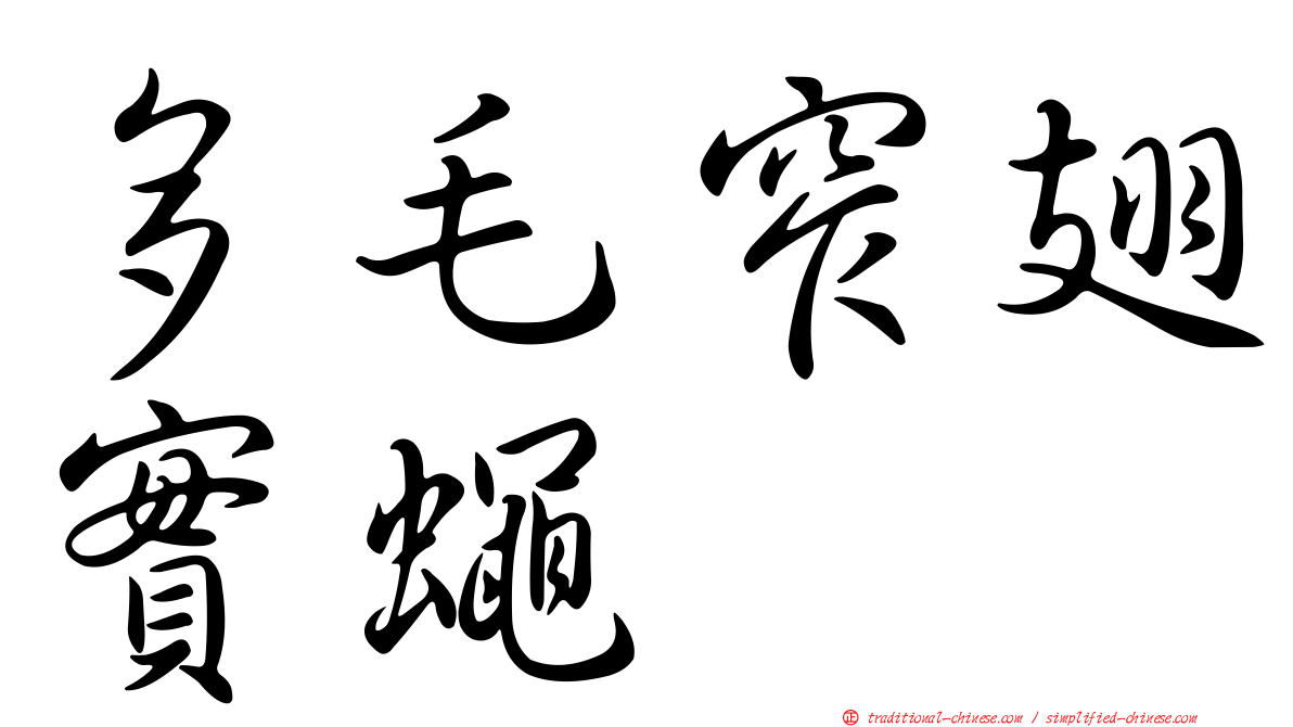 多毛窄翅實蠅