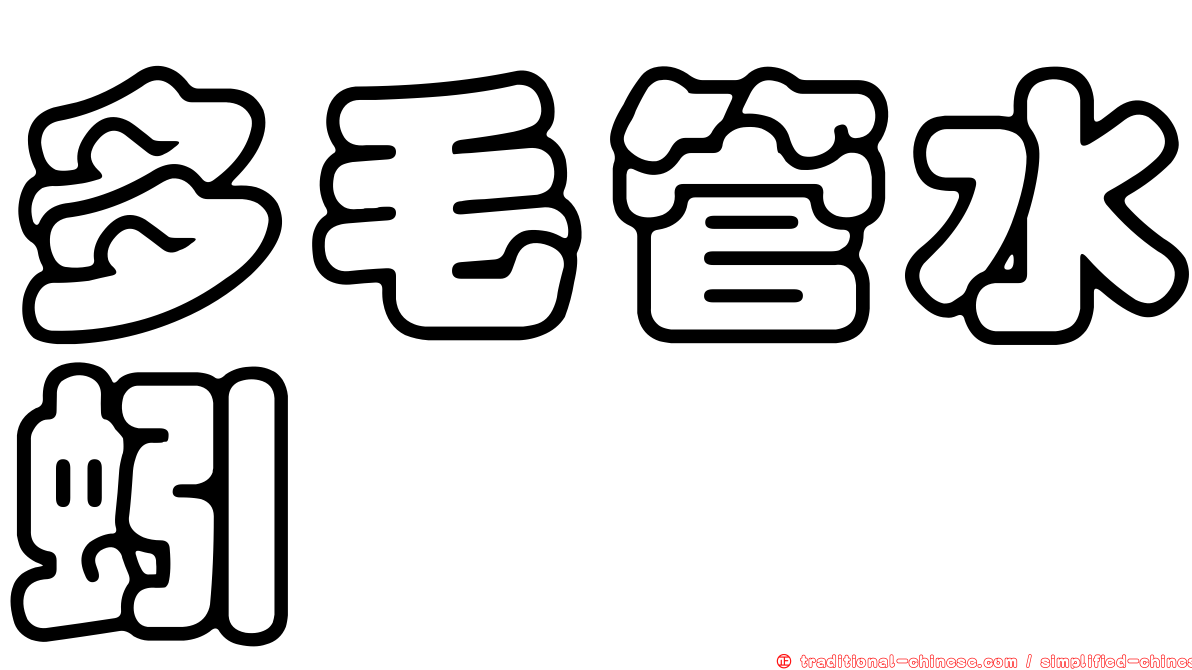 多毛管水蚓