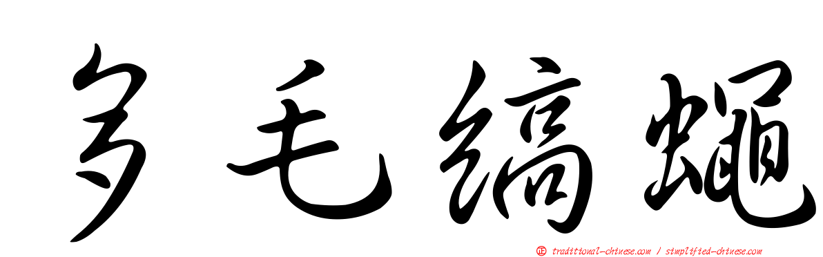 多毛縞蠅