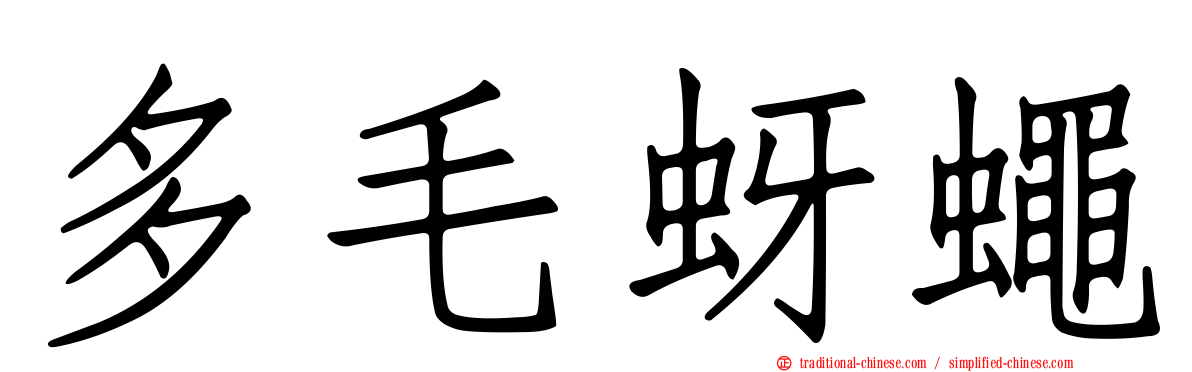 多毛蚜蠅