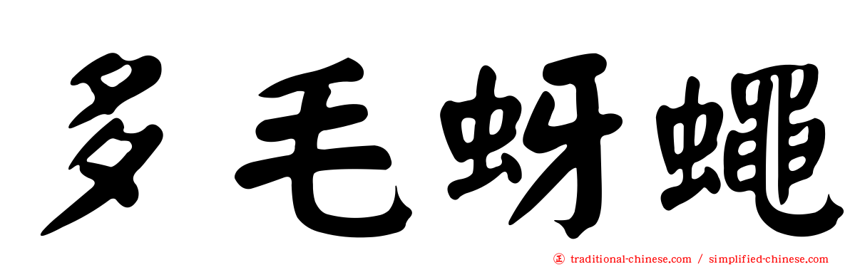 多毛蚜蠅