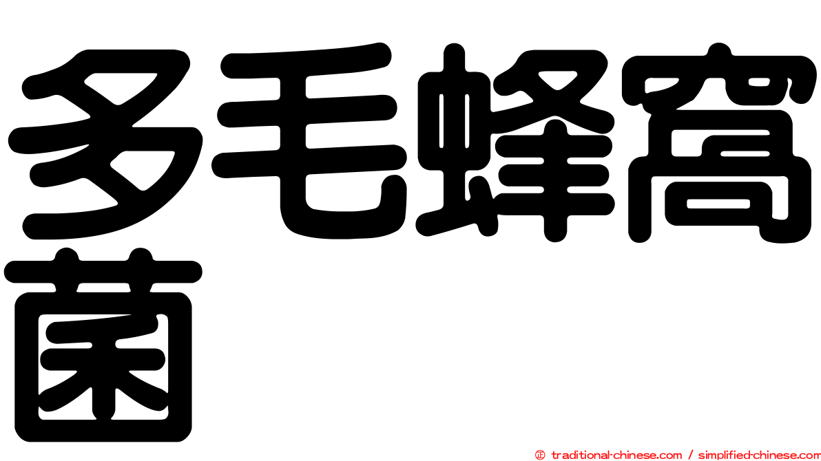 多毛蜂窩菌