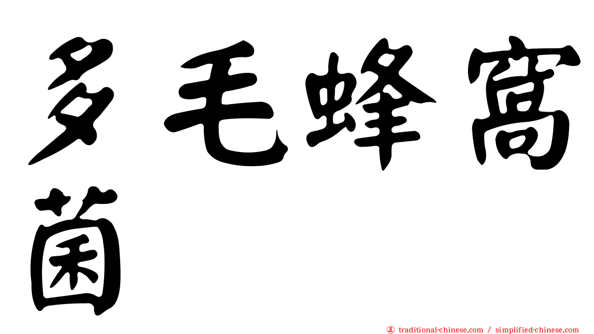 多毛蜂窩菌
