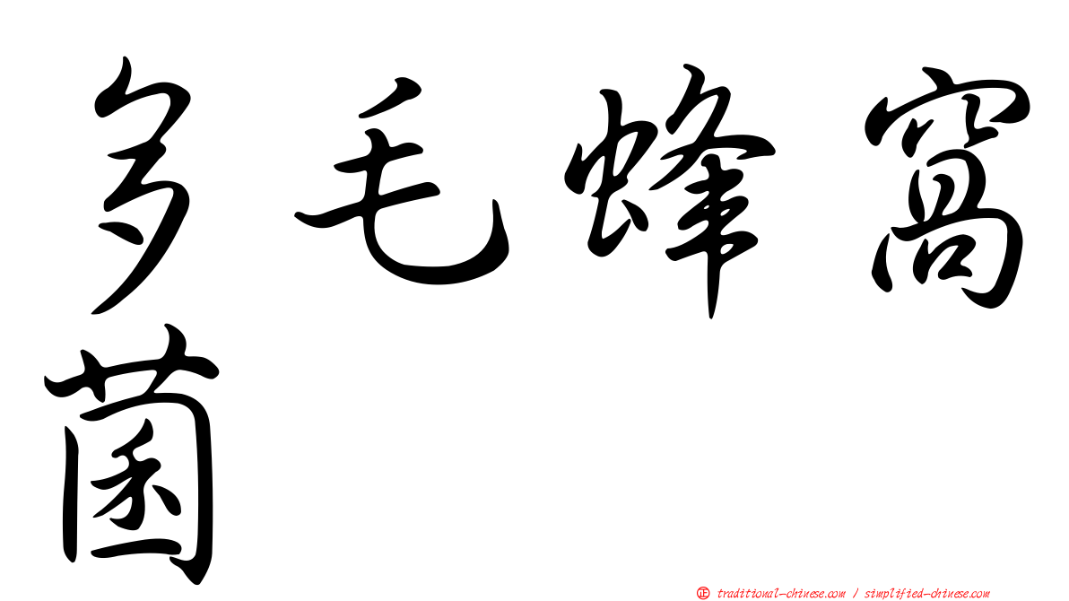 多毛蜂窩菌