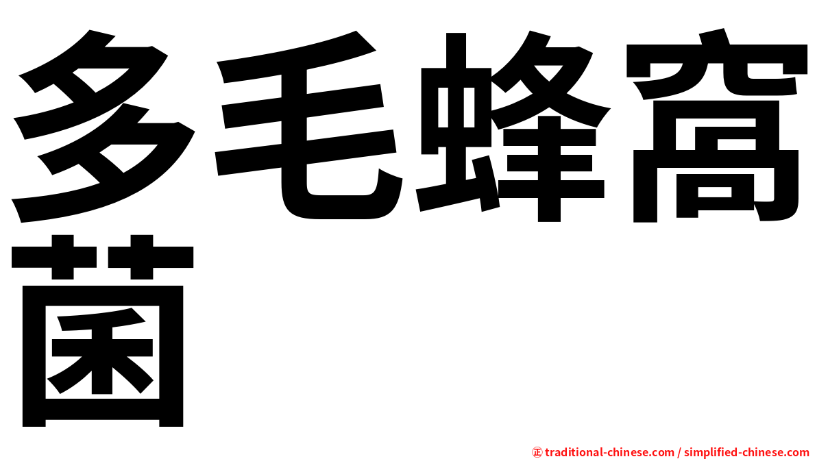 多毛蜂窩菌