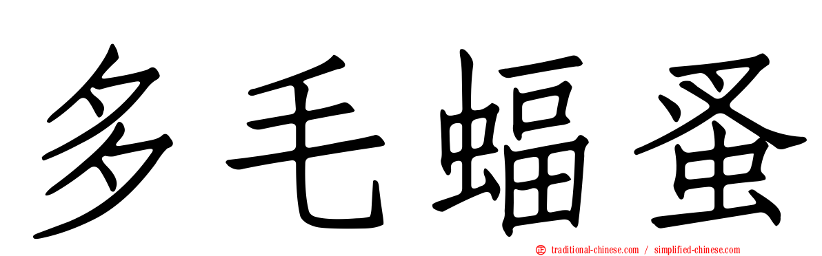 多毛蝠蚤