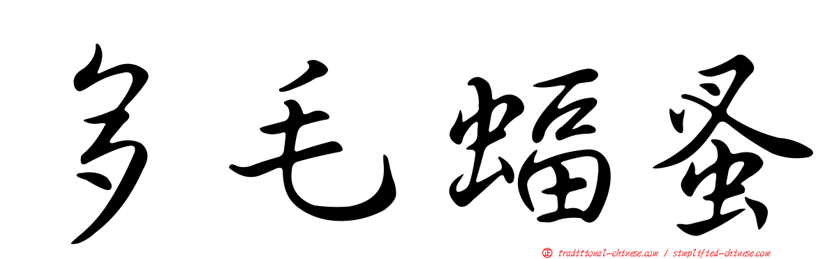 多毛蝠蚤