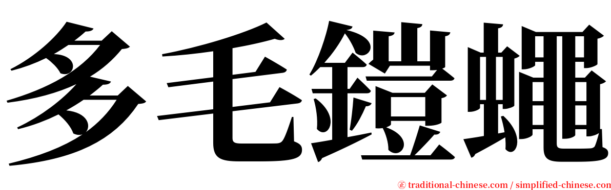 多毛鎧蠅 serif font