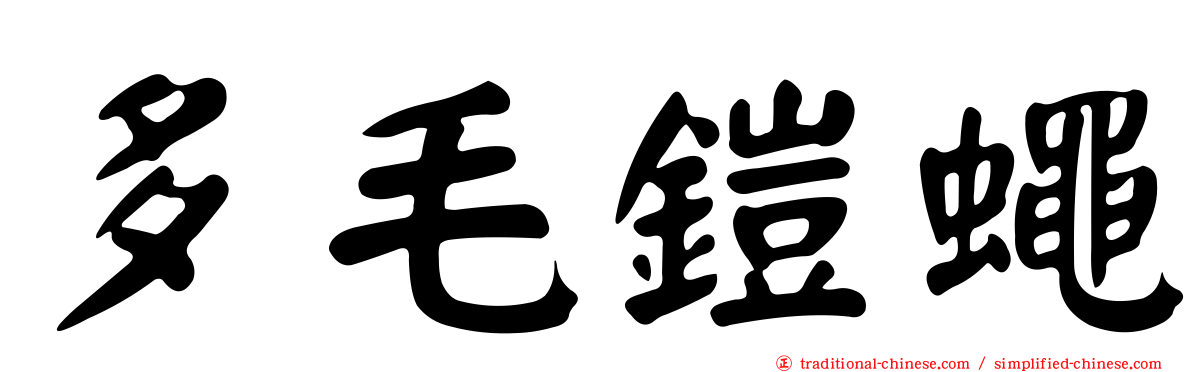 多毛鎧蠅