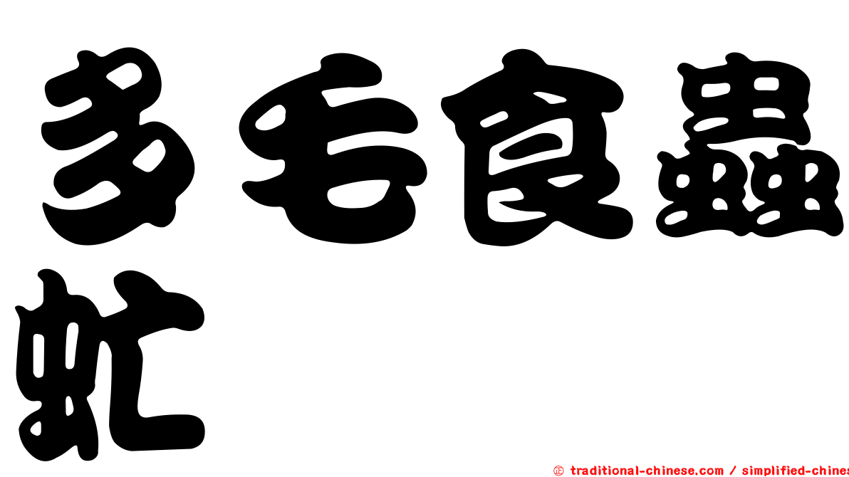 多毛食蟲虻