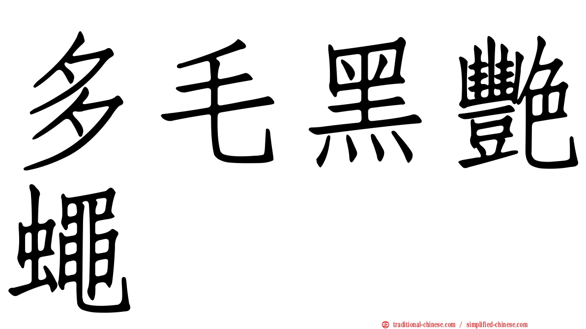 多毛黑艷蠅