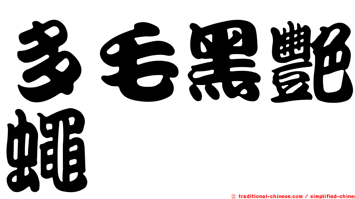 多毛黑艷蠅