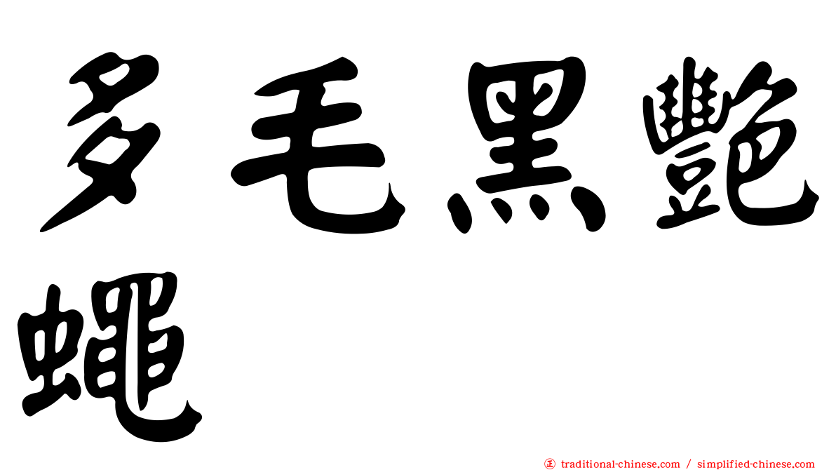 多毛黑艷蠅