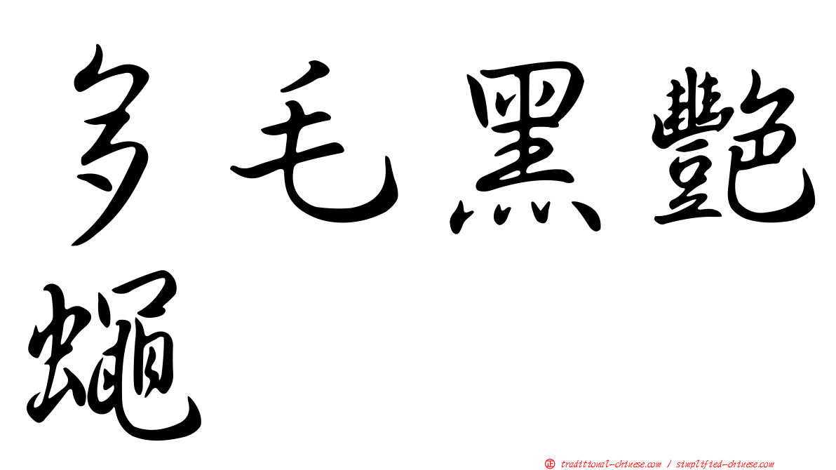 多毛黑艷蠅