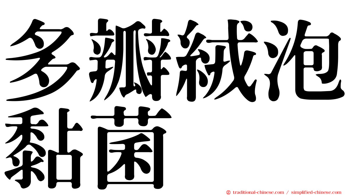 多瓣絨泡黏菌
