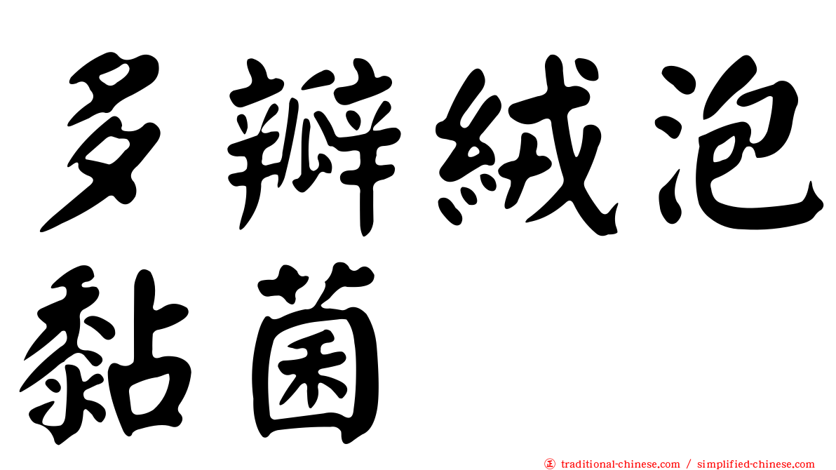 多瓣絨泡黏菌