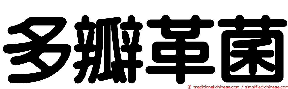 多瓣革菌