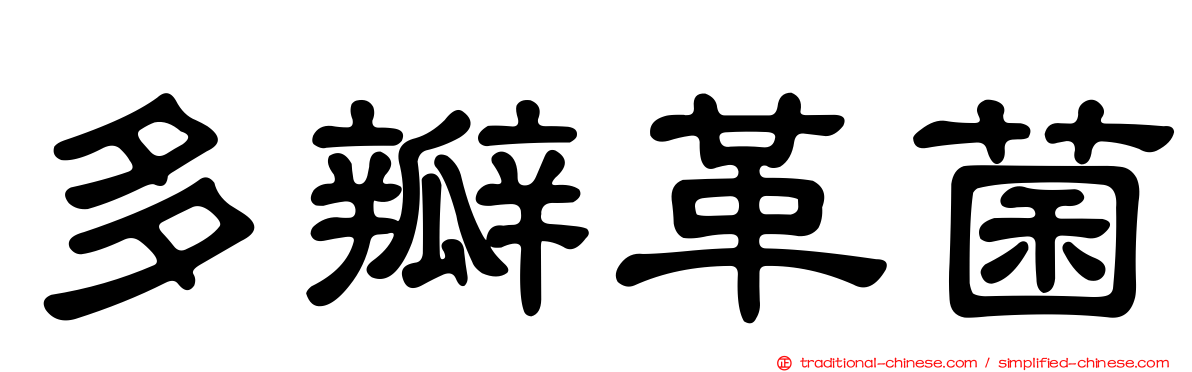 多瓣革菌