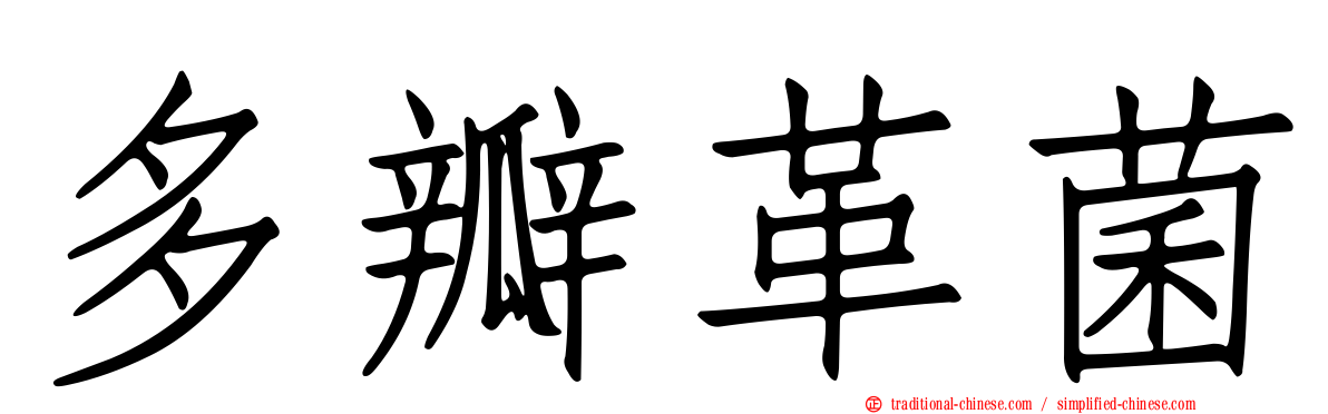 多瓣革菌