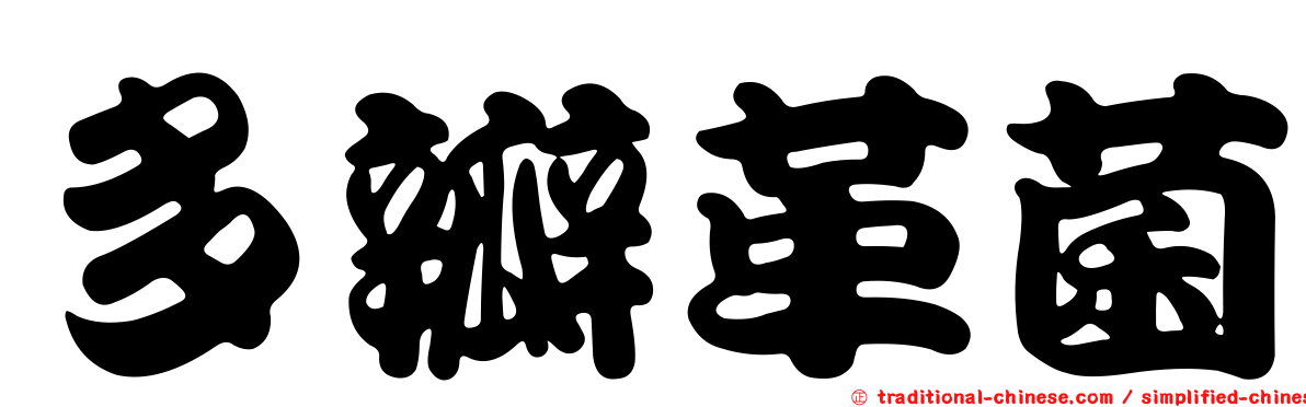 多瓣革菌