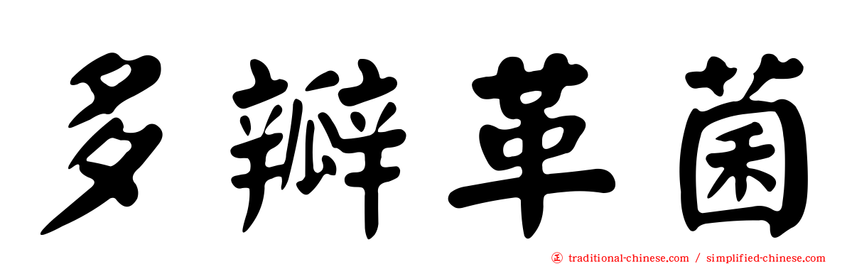 多瓣革菌