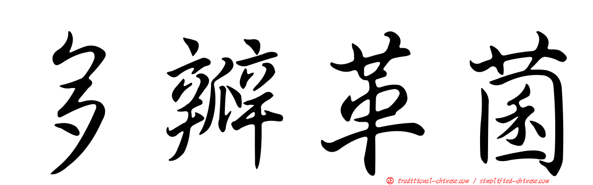 多瓣革菌