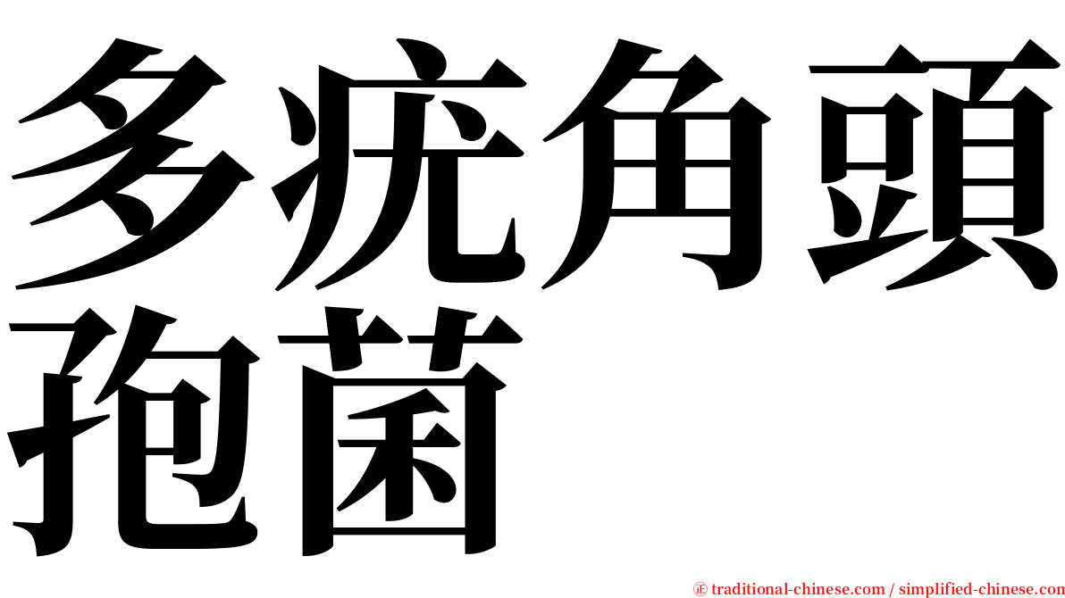多疣角頭孢菌 serif font