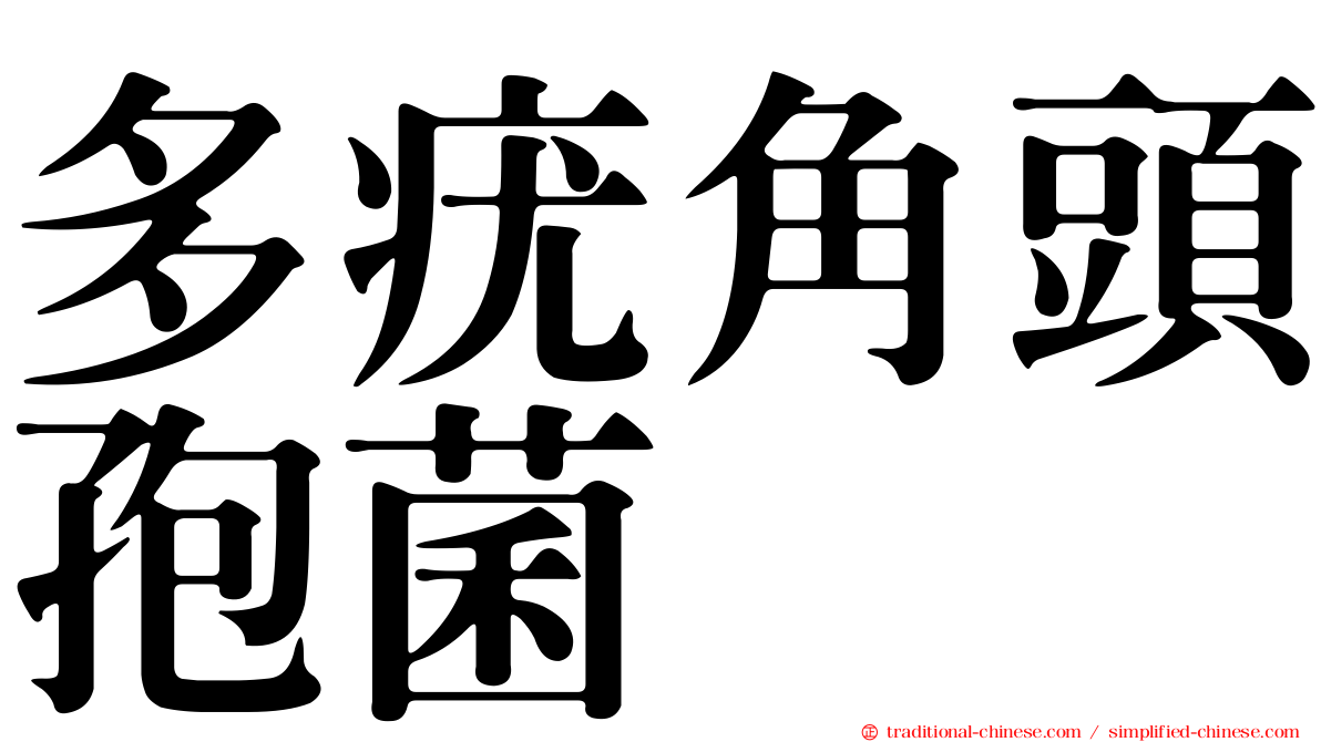 多疣角頭孢菌