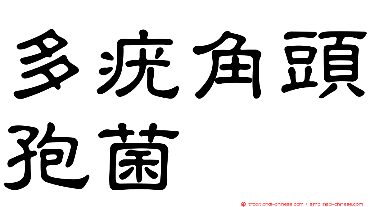 多疣角頭孢菌