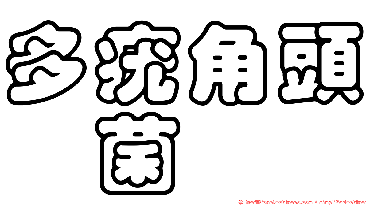 多疣角頭孢菌