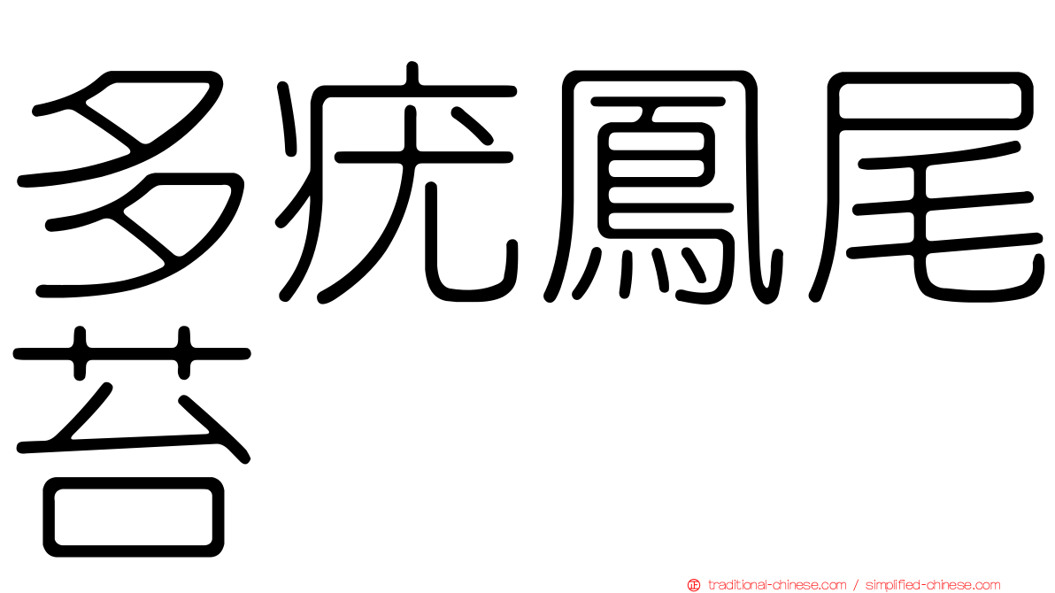 多疣鳳尾苔