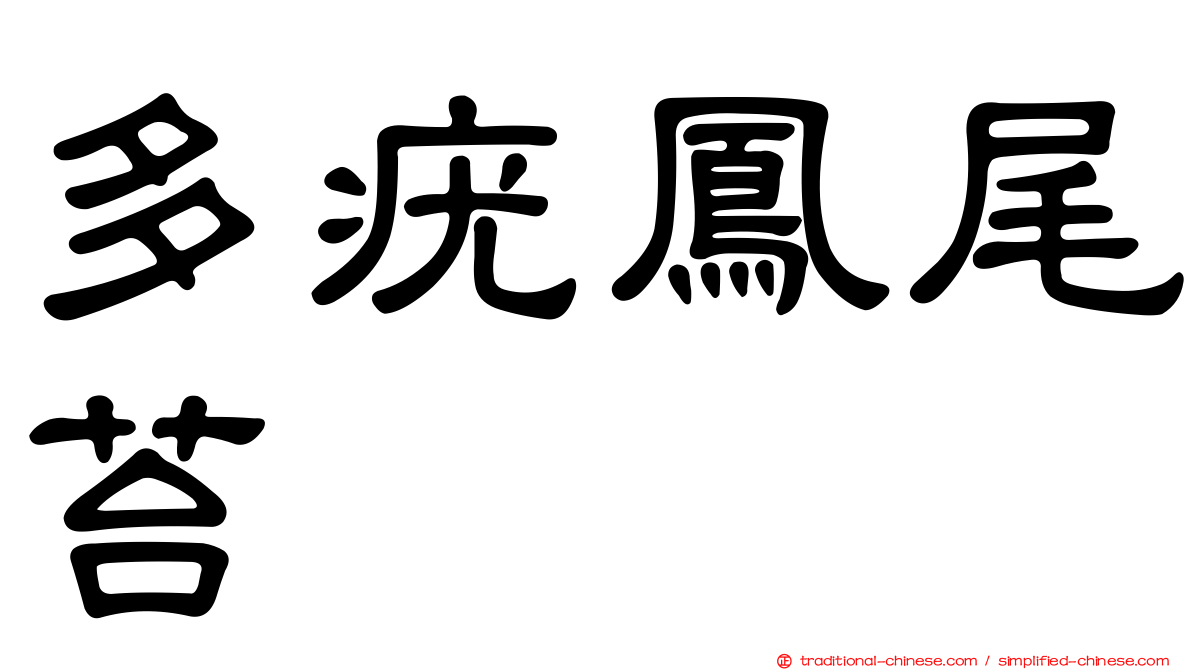 多疣鳳尾苔