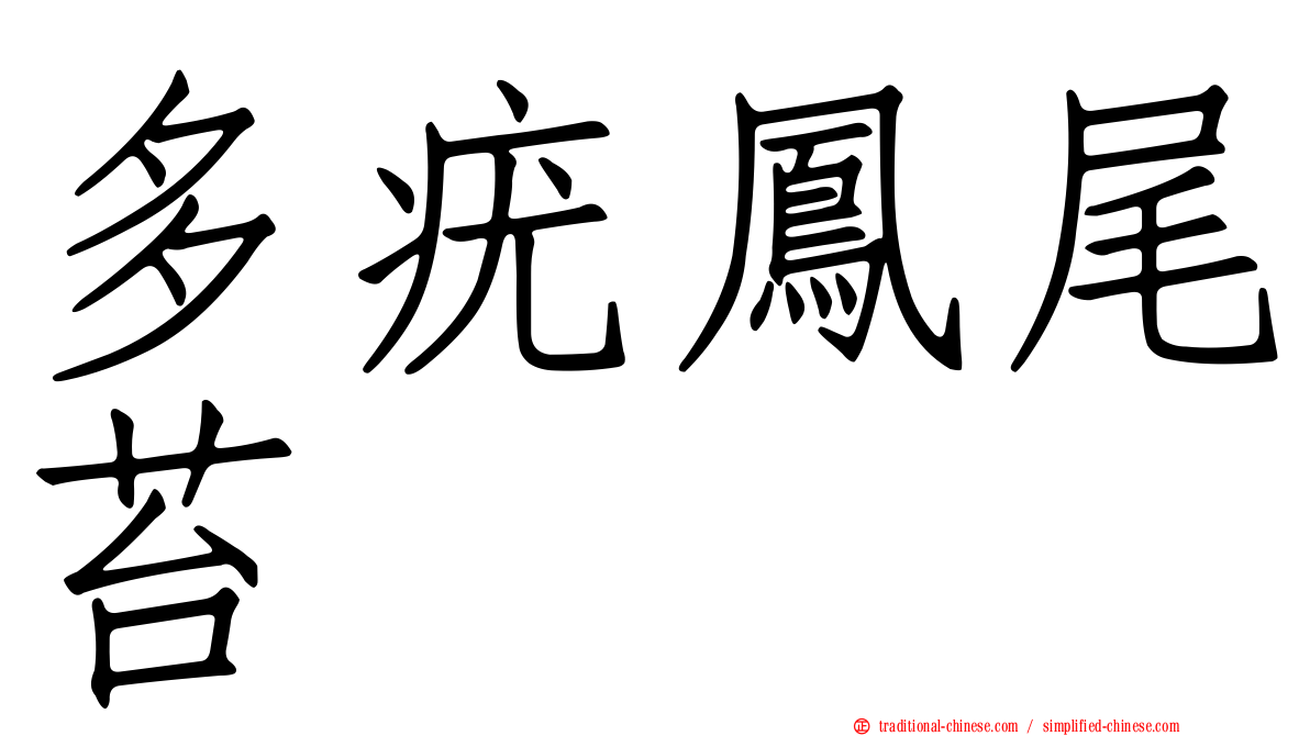 多疣鳳尾苔