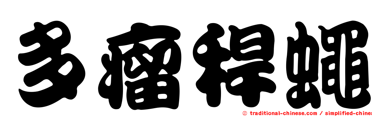 多瘤稈蠅