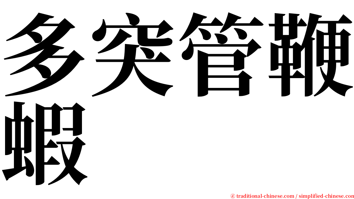 多突管鞭蝦 serif font