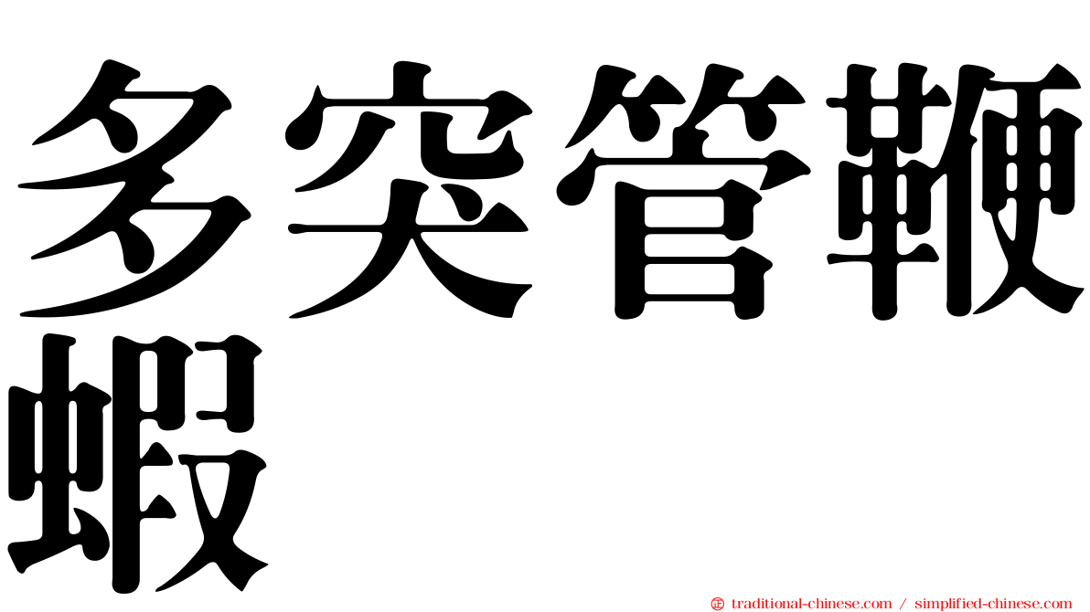 多突管鞭蝦
