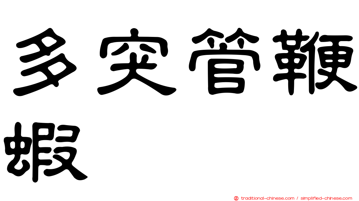 多突管鞭蝦