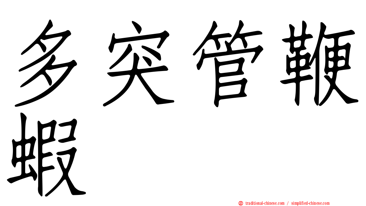 多突管鞭蝦