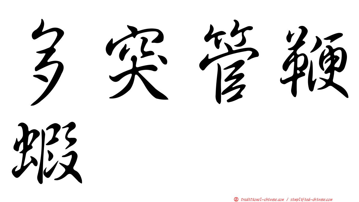 多突管鞭蝦