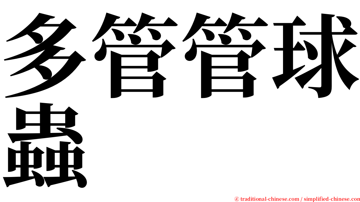 多管管球蟲 serif font
