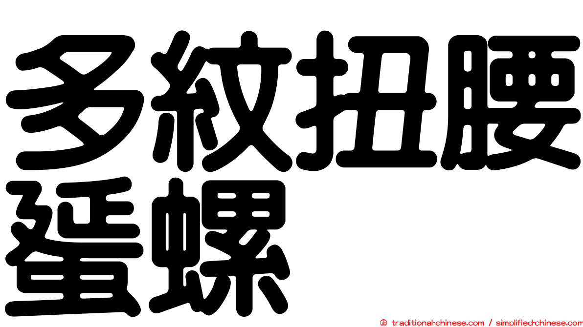 多紋扭腰蜑螺