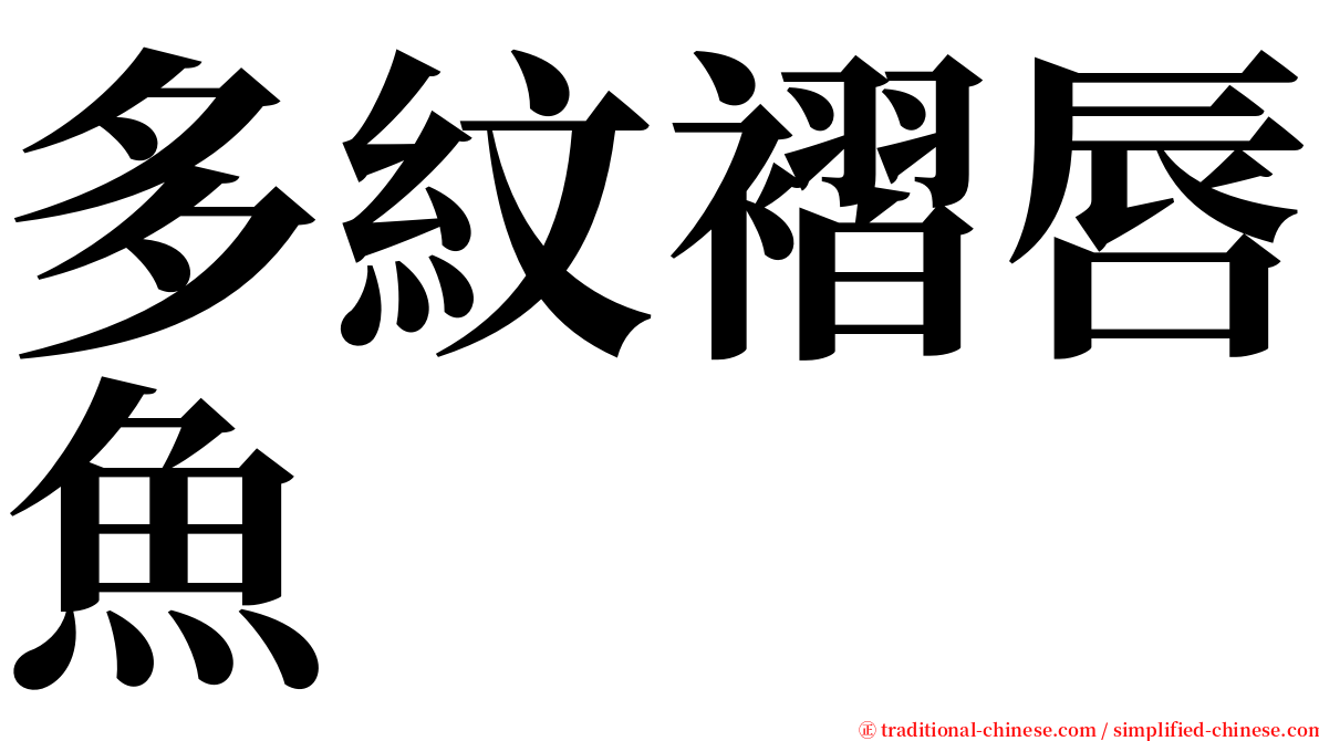 多紋褶唇魚 serif font