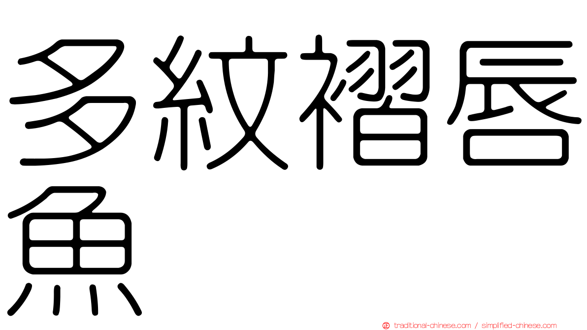 多紋褶唇魚