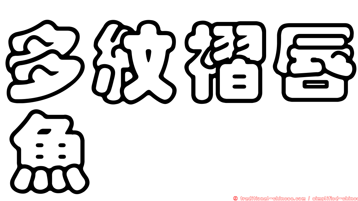 多紋褶唇魚
