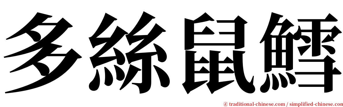 多絲鼠鱈 serif font