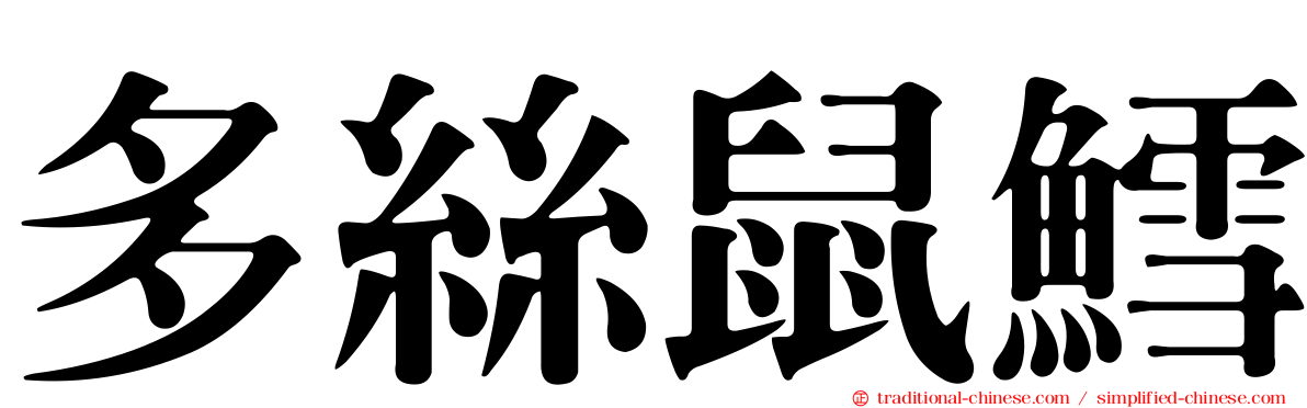 多絲鼠鱈