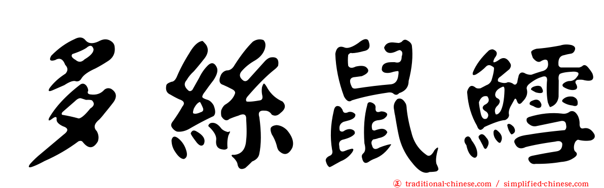 多絲鼠鱈