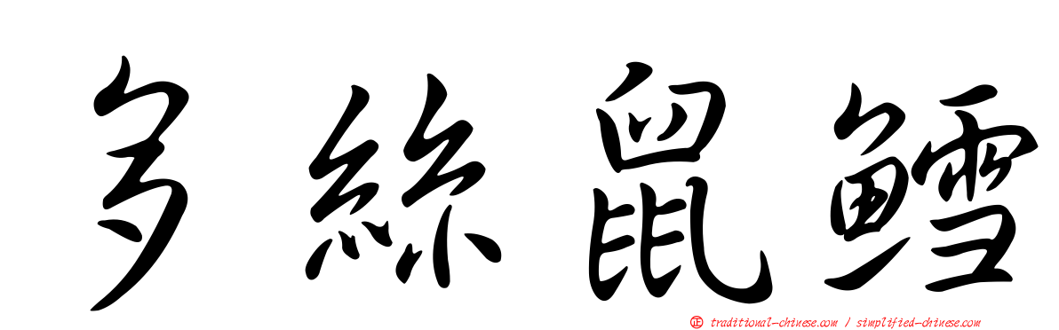 多絲鼠鱈