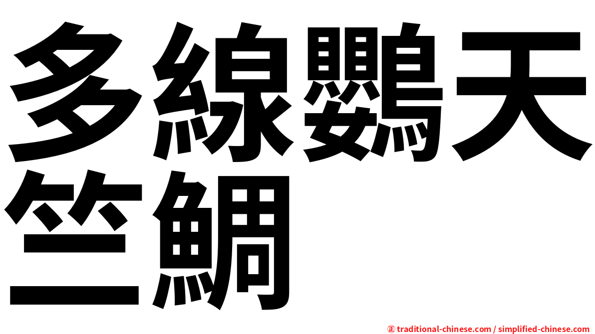 多線鸚天竺鯛